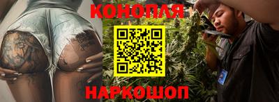амф Новодвинск